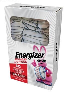Energizer Holiday Lighting 50 Warm White LED Microdot String Lights